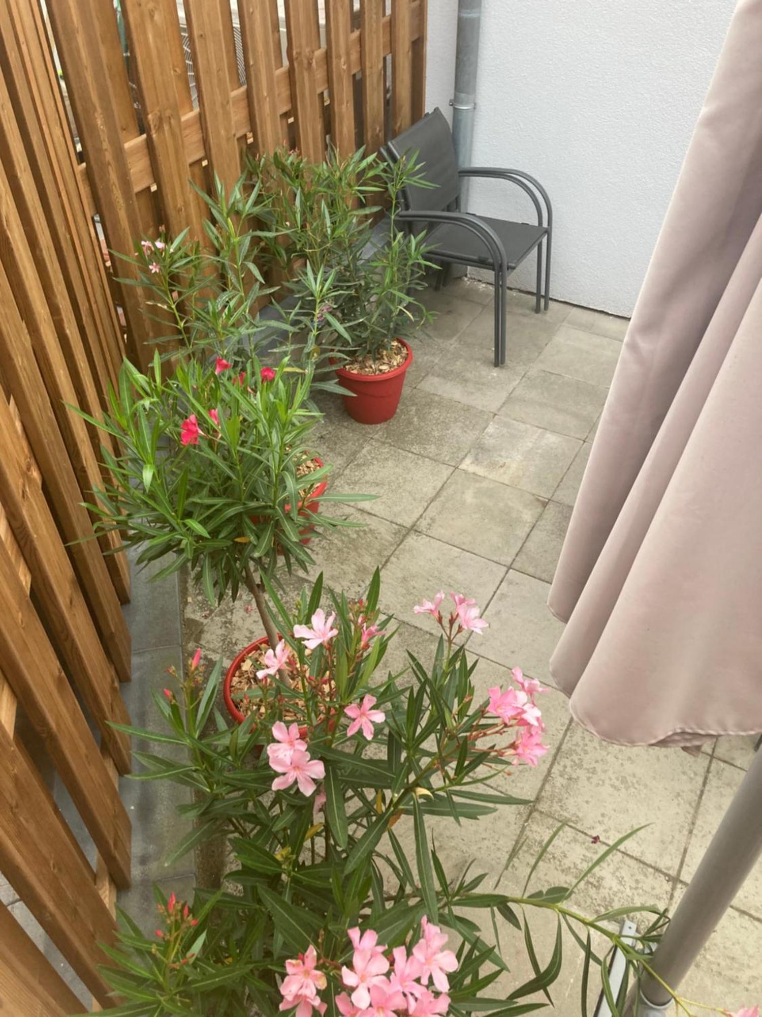 Villa Juste un rayon de soleil à Saasenheim Extérieur photo